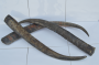 Wasserbüffelhorn 70-85cm unpoliert